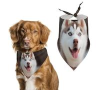 Husky Piquant Bandana triangulaire pour chien - Lavable - En polyester - Joli bandana pour animaux de compagnie - Pour chiens de taille moyenne et grande - Chiots et chats