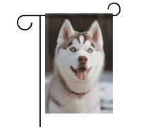 Husky Piquant Dog Drapeau de jardin printemps été 30,5 x 45,7 cm double face pour extérieur, drapeaux saisonniers et bannières pour patio, cour, terrasse, porche, jardin, terrasse, balcon, pelouse