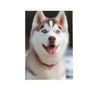 Husky Piquant Drapeau de jardin bienvenue 61 x 91 cm Double face Ne se décolore pas pour maison, cour, porche, pelouse, décoration extérieure