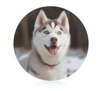 Husky Piquant Planche à découper ronde en verre trempé pour pizza, légumes, fruits, fromage et charcuterie