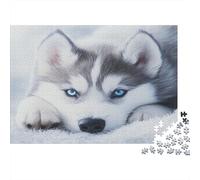 Husky sibérien Puzzles pour Adultes 1000 PièCes Puzzles Jeux De Puzzle Stimulants Hands on Game Famille DéCoSourision 1000 Pièce Excellent Cadeau pour Adultes 1000pcs (75x50cm)