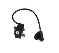 Husqvarna 525873301 Module d'allumage d'origine