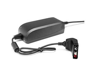 Husqvarna 967335631 Chargeur QC80 4,2 Ah, Temps de Chargement 35 min