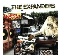 The Expanders – Hustling Culture – Vinyle 12"