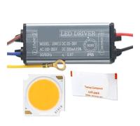 HUSXWKDQP A Set High Brightness 10W 20W 30W 50W DC30-33V LED COB Bridgelux Chip Matrix and LED Waterproof Driver for LED Lights Bulb DIY(Cold White 6500K,30W A Set)