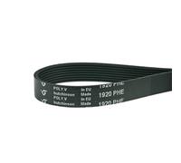 Hutchinson 1920 PH 8 MAEL Courroie nervurée pour sèche-linge compatible avec Indesit Ariston C00770302 Siltal 13086