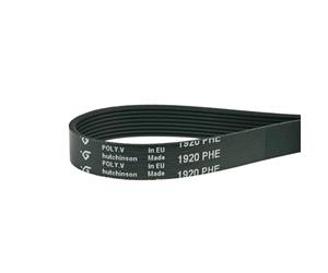 Hutchinson 1920 PH 8 MAEL Courroie nervurée pour sèche-linge compatible avec Indesit Ariston C00770302 Siltal 13086