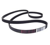 Hutchinson - Courroie de lave-linge 5PJE 1208 pour Machine à laver, Style de courroie plat en Caoutchouc