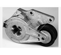 HUTCHINSON T0263 Poulie de tension, courroie trapézoïdale à nervures pour FORD,V