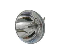 HUTJWYN Ampoule Convient pour les modèles Viewsonic PA503W, PS600W, PG603W, VS16973, VS16977 et RLC 109