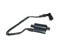 HUTJWYN Bobine d'allumage for TC125 TC185 TC250 TC305 TC350 TS50 TS75 TS90 TS100 TS125 TS185 TS200R TS250 TS400 33410 22220