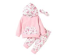Huttam Ensembles bébé Fille 0-24 Mois Dinosaure Sweats à Capuche garçon Manche Longue avec Poche Pantalon Fleur et Bandeau Habit Tenue Vetement Bebe Fille Naissance Automne Printemps (0-6 Months)