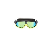 Huub Ryft Polarized Swimming Goggles Noir Dark Smoke/Gold