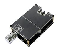 Huudngeje Nouveau -1001B Mono 100W Bluetooth 5.1 Module D'Amplificateur de Puissance Audio DC7-24V Puce D'Amplificateur de Puissance TPA3116 avec