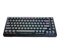 Ducky Tinker 75 Gaming-tastatur, Rgb - Mx-brown (ansi)