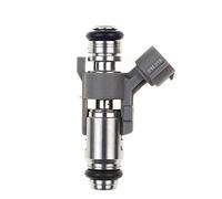 HUVNEXA Buse d'injecteur de Carburant, for, 1007 206 207 307 1.4 16v 1984F4 IPM012, Accessoires de Voiture IPM-018 IPM018 Injecteur de Carburant