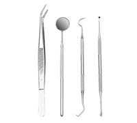 HUVZOR 4PCS Kit Detartrage Dentaire, Dents en Acier Inoxydable Kit de Nettoyage, pour Homme, Femme, Enfant et Animal Domestique