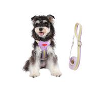 Huxibai Harnais Pour Chien - Accessoire Pour Animal Avec Poignée Anti-Traction | Set Harnais Et Laisse Pour Chiot | Pour Chiots Et Chiens De Toutes Tailles Pour Balades Sportives Randonnées Et Jeux En