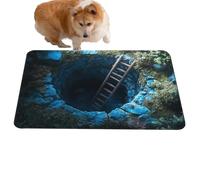 Huxibai Tapis illusion optique 3D - Paillasson décoratif esthétique antidérapant avec piège visuel - Tapis illusion 3D pour Halloween, décoration intérieure et extérieure