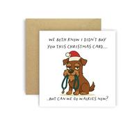 Huxters Carte de Noël amusante de Dog Miniature Schnauzer Brown pour maman, papa, chiens, cartes - We Both Know I Didn't Buy You This Card But Can We Go Walkies Now ? (Schnauzer marron)
