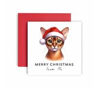 Huxters Carte de Noël du chat - Joyeux Noël abyssinien pour chat maman et papa chat - Amis, famille, premier Noël (Abyssinien)
