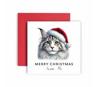 Huxters Carte de Noël du chat - Maine Coon Merry Christmas to Cat Mum and Cat Dad - Friends Family First Christmas (Maine Coon)