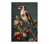 HUYEEI Affiches et impressions d'animaux Oiseaux perchés sur des branches toile decoration murale, Convient pour le salon, la chambre,Bureau du corridor etc.(multicolore147)-40x60cm Sans cadre