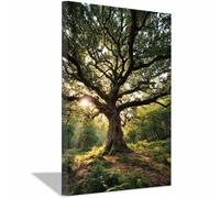 HUYEEI Impression sur Toile Paysage Aube dans les bois anciens tableaux, arts décoratifs, Convient pour le salon, la salle de bain Décoration murale, etc.(vert)-60x80cm Encadrée