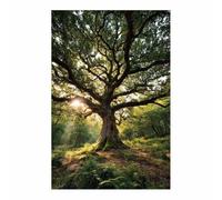 HUYEEI Impression sur Toile Paysage Aube dans les bois anciens tableaux, arts décoratifs, Convient pour le salon, la salle de bain Décoration murale, etc.(vert)-40x60cm Sans cadre