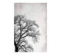 HUYEEI Noir et blanc Impression sur Toile Branche d'arbre morte Peinture Tableaux,Muraux,pour Bureau Couloir Salle de bain Déco Chambre Salon(Noir et blanc)-20x30cm Sans cadre