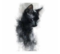 HUYEEI Noir et blanc Impression sur Toile Portrait d'un chat noir Peinture Tableaux,Muraux,pour Bureau Couloir Salle de bain Déco Chambre Salon(Couleur noir et blanc)-20x30cm Sans cadre