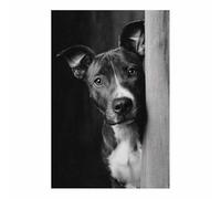HUYEEI Noir Et Blanc sur Toile Abstrait Chien jetant un coup d'œil affiche decoration murale, Convient pour le salon, Décoration de couloir la chambre, etc(Couleur noir et blanc)-60x90cm Sans cadre