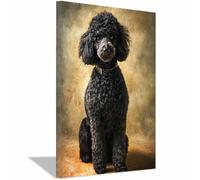 HUYEEI Poster sur toile représentant un chien Chien aux poils bouclés avec impression d'art, pour le salon, la salle de bain Décoration murale, etc.(noir)-20x30cm Encadrée
