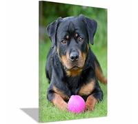 HUYEEI Poster sur toile représentant un chien Chien gardant une balle avec impression d'art, pour le salon, la salle de bain Décoration murale, etc.(noir)-20x30cm Encadrée