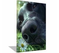 HUYEEI Poster sur toile représentant un chien Chien renifleur de fleurs avec impression d'art, pour le salon, la salle de bain Décoration murale, etc.(noir)-60x80cm Encadrée