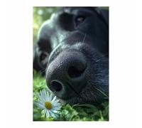 HUYEEI Poster sur toile représentant un chien Chien renifleur de fleurs avec impression d'art, pour le salon, la salle de bain Décoration murale, etc.(noir)-70x100cm Sans cadre