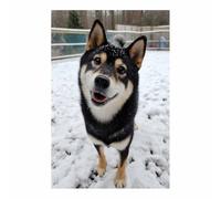 HUYEEI Poster sur toile représentant un chien Chiens jouant dans la neige avec impression d'art, pour le salon, la salle de bain Décoration murale, etc.(noir)-60x90cm Sans cadre