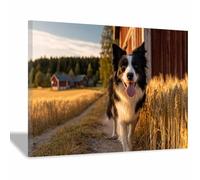 HUYEEI Poster sur toile représentant un chien Chiens voyageant avec impression d'art, pour le salon, la salle de bain Décoration murale, etc.(blanc)-20x30cm Encadrée