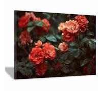 HUYEEI sur Toile de Paysage Des roses au milieu des buissons Tableaux Modernes Impressions Salon la salle de bain Chambre Affiche Mur Image Décoration(rouge75)-70x100cm Encadrée