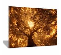 HUYEEI Tableau arbre de vie Arbres enveloppés de flammes Impression Ouvrages D'art Le Bureau À Domicile salon, salle de bain Décoration Moderne(orange29)-70x100cm Encadrée