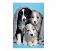 HUYEEI Tableau Decoration Animaux chien Chien sous la couverture affiches d'animaux avec impression d'art, pour le salon et la chambre(gris)-60x90cm Sans cadre