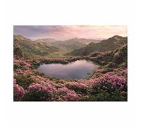 HUYEEI Tableau Paysage Nature Fleurs autour du lac toile decoration murale, impression d'art Convient pour la chambre, le salon, la salle de bain, etc.(rose)-60x80cm Sans cadre