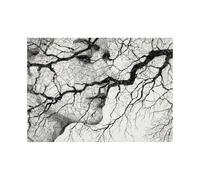 HUYEEI Tableaux Muraux Modernes Style Abstrait Fusions de visages de branches Peinture sur Toile Affiches et Gravures,pour Chambre Salon Salle de bain (Couleur noir et blanc)-40x60cm Sans cadre