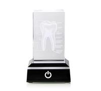 HVRFJXI 3D Lasering Etch Crystal Orgues Humains Modèle Anatomique Cœur/Dents Figurines Presse-papier en verre avec base LED Figurines de dents anatomiques