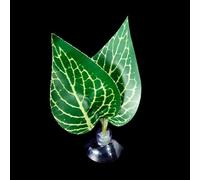 HVRFJXI Coussin de repos à ventouse pour aquarium Bettas Fish Hamac Fish Tanks Frayer Ground Leaf Aquariums Fournitures d'élevage Ornement pour aquarium