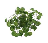 HVRFJXI Feuilles grimpantes flexibles pour terrarium - Décoration d'habitat de la jungle pour serpent, dragon barbu - Fournitures en bois flotté - Coussin chauffant pour aquarium - Fausse terre