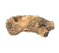 HVRFJXI Jardinière vintage en résine pour décoration d'intérieur et d'extérieur Motif racines d'arbre pour plantes grasses et bonsaïs Jardin Bureau Présentoir Pot de ciment