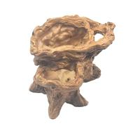 HVRFJXI Jardinière vintage en résine pour décoration d'intérieur et d'extérieur Motif racines d'arbre pour plantes grasses et bonsaïs Jardin Bureau Présentoir Pot de ciment