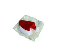 HVRFJXI Perruques Lions Chapeau de Père Noël Chien Costume de Noël Barbe Tissu Robe de vacances pour rassemblements d'animaux de compagnie Accessoires de fête pour chien