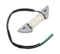 HWGING Bobine de Charge de Moteur de Bateau, Léger, Facile à Installer, Effet de Charge Stable, pour Moteur Hors-bord 9.9 avec Matériel de Fer de qualité Supérieure, adapté à la